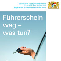 Cover 'Führerschein weg - was tun?' Cover 'Führerschein weg - was tun?'
